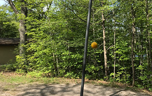 tetherball pole surrounded by trees
